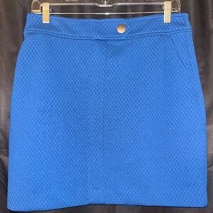 Textured A-Line Skirt - NWOT